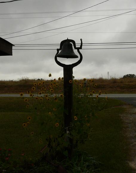 P1000437b