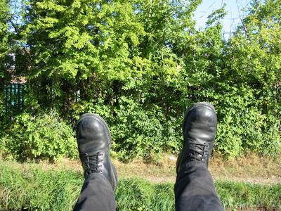 Hedges underfoot