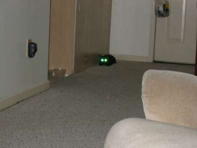 Cat's eyes