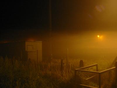 Mist
