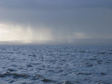 Stormy day